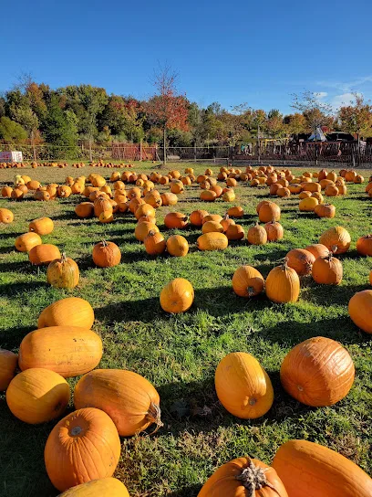 Oasis Family Farm
