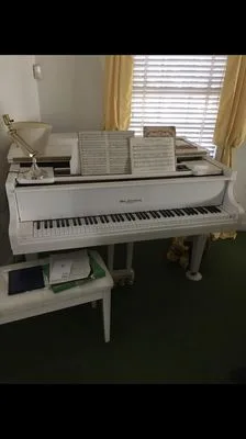 Pals Moving LLC photo 2
