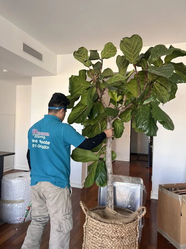 Vip Designer Moving LLC