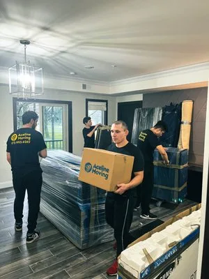 Aceline Moving photo 4