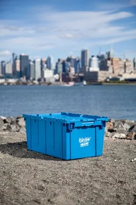 Bin It photo 5