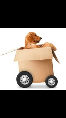 O C Express LLC